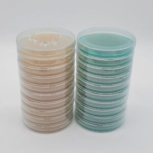 20 Malt Beyond Agar Petri Dishes - image 1