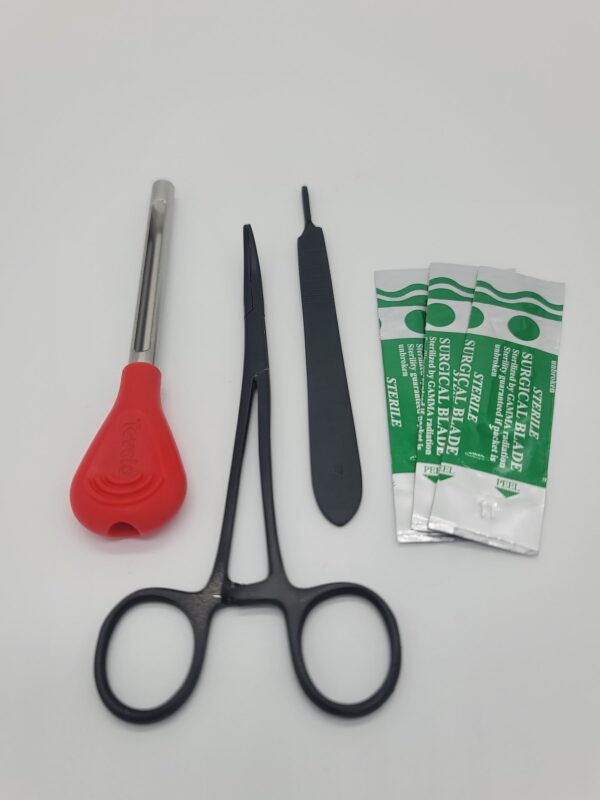 Lab tools; forceps, scalpel and blades