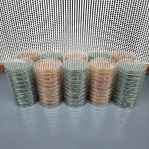Malt Extract Agar Prepours in Green and tan color. 100 pack of plates