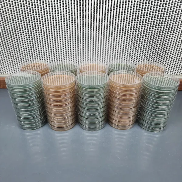 Malt Extract Agar Prepours in Green and tan color. 100 pack of plates