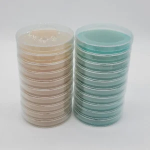 20 Malt Beyond Agar Petri Dishes packed for shipping