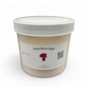 Gracilaria Agar