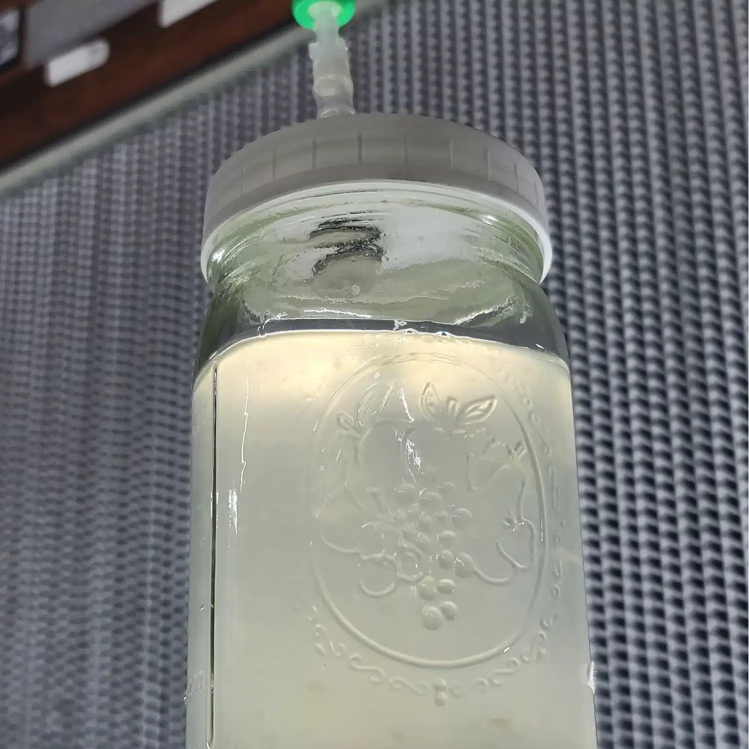 Prepare Liquid Culture Premix in 6 Easy Steps – Jar full of liquid culture, a fluid that mushroom mycelium colonizes