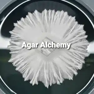 Agar Alchemy Logo used for promoting our agar alchemy class.