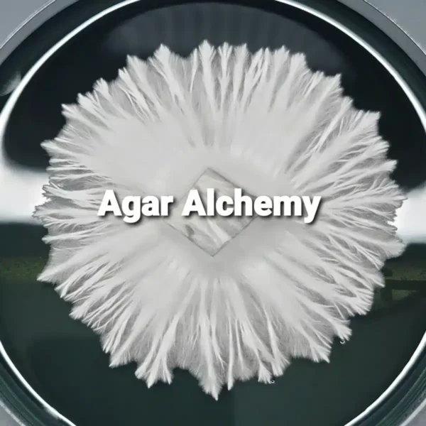 Agar Alchemy Logo used for promoting our agar alchemy class.