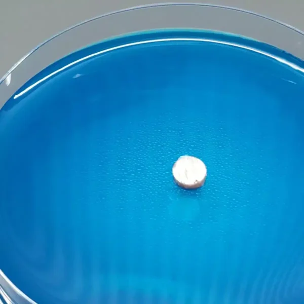 Cored Mycelium on Blue plate