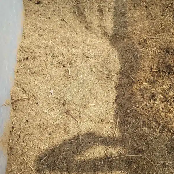 Box of shredded Manure used for substrate