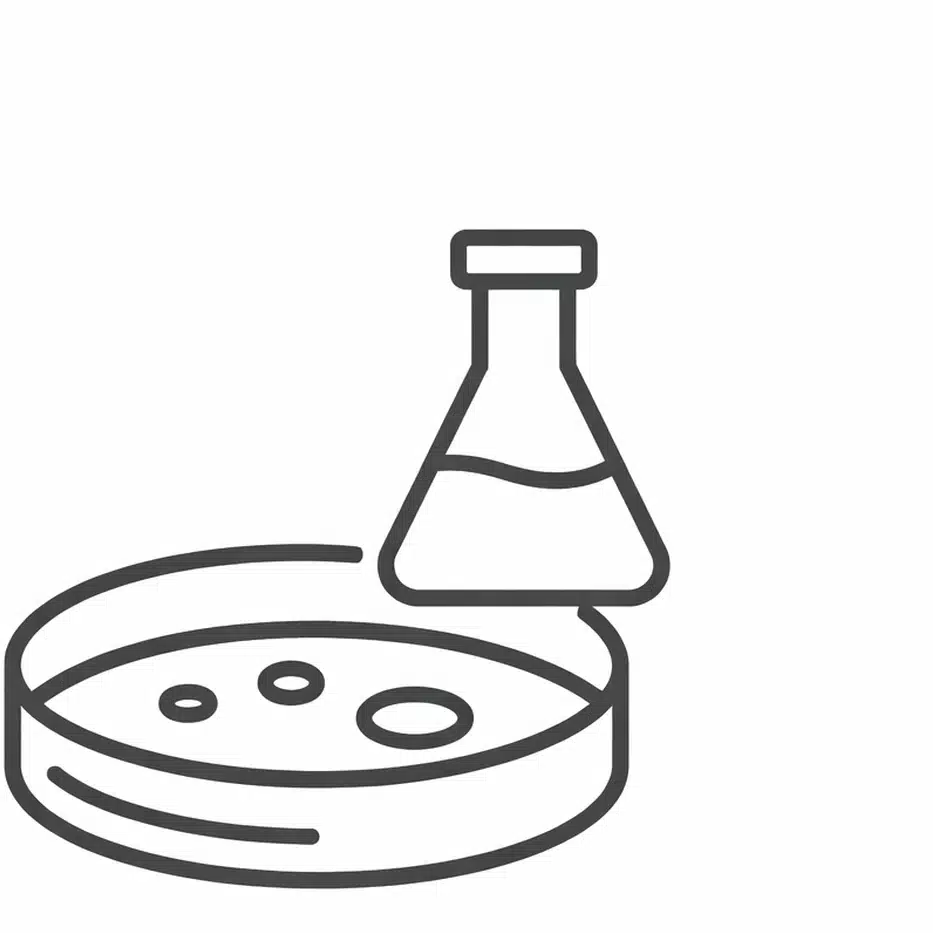 Home 13 Clean medua Icon 2